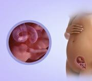 गर्भावस्था में पेट में बच्चा हिचकोले खाता है