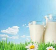 Краве мляко: вреда и полза